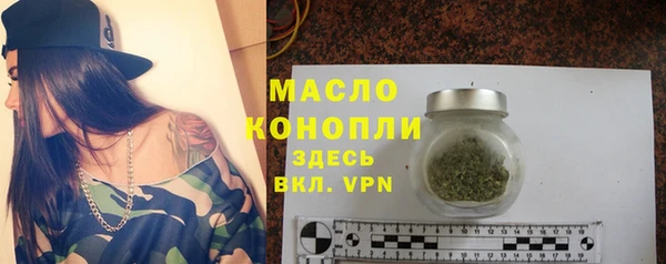 сатива Бородино