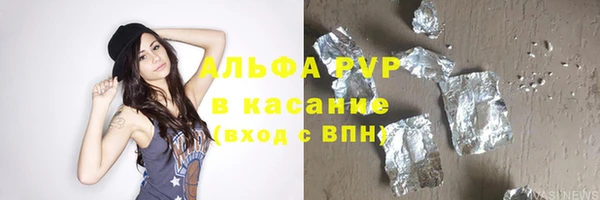 сатива Бородино