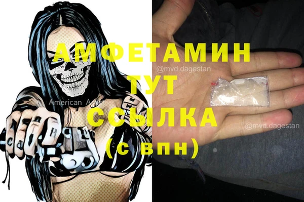 сатива Бородино