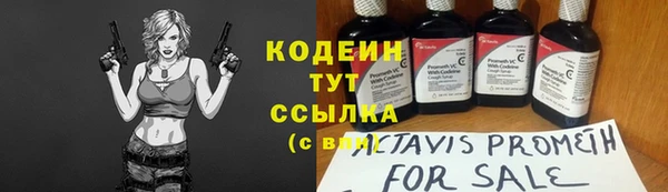 соль ск Пестово