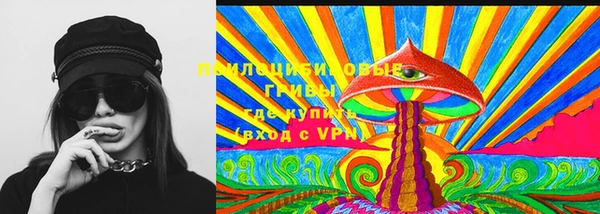 сатива Бородино