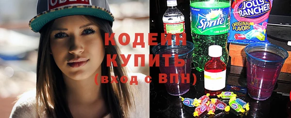 apvp Пересвет