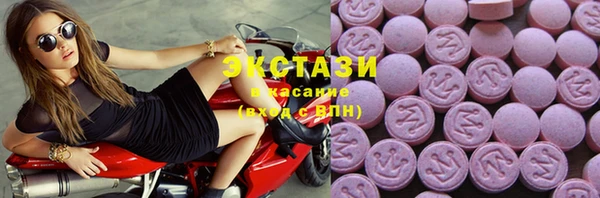 сатива Бородино