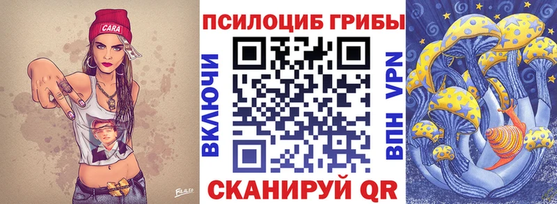 Псилоцибиновые грибы прущие грибы  блэк спрут ТОР  Новозыбков 